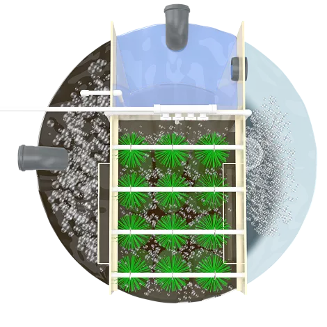 Дельта 0.8