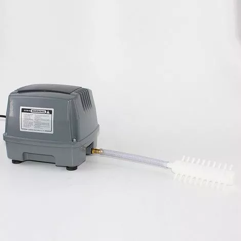 Компрессор Hailea 80